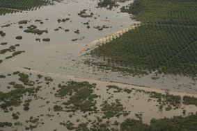Se-Kalteng: Danau Sembuluh Contoh Kerusakan Ekosistem