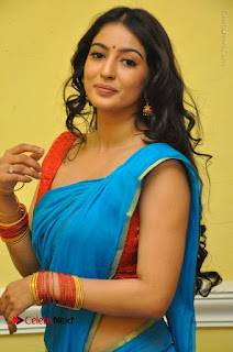 Telugu Actress Vaibhavi Stills in Blue Saree at Www.Meena Bazaar Movie Opening  0012.JPG