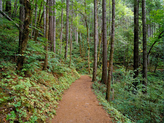 quiet trail columbia river gorge (23)