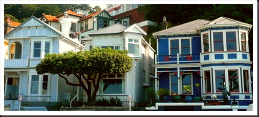 Wellington (26)