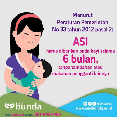 ASI makanan terbaik bayi cegah stunting