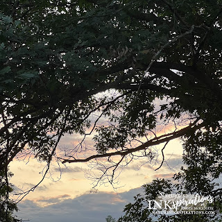 Amazing sunset and sunrise views through the oak trees on our property | Nature's INKspirations by Angie McKenzie