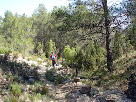 Senderismo - Puebla de Arenosos - Chorrico - Montico - Chorrador SL-CV 57