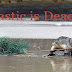 Plastic is Deadly