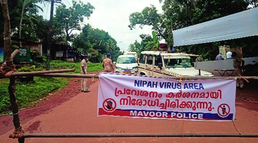 Akibat Virus Nipah 2 Orang di India Tewas, Waspada Virus Nipah