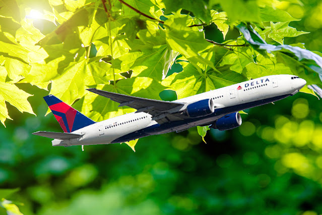 Delta Air Lines sustainable program