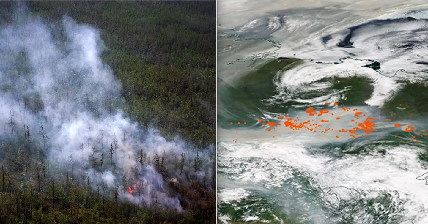 Smoke From Wildfires Reaches The North Pole For The First Time In Recorded History