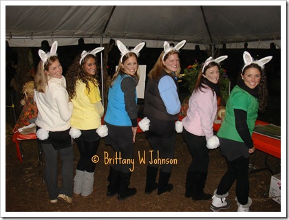Bunny Tails