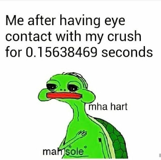 Having a Crush Meme by @sarcasteen on instagram