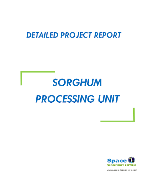 Project Report on Sorghum Processing Unit   