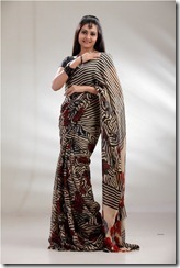 nandagi hot in saree pic1