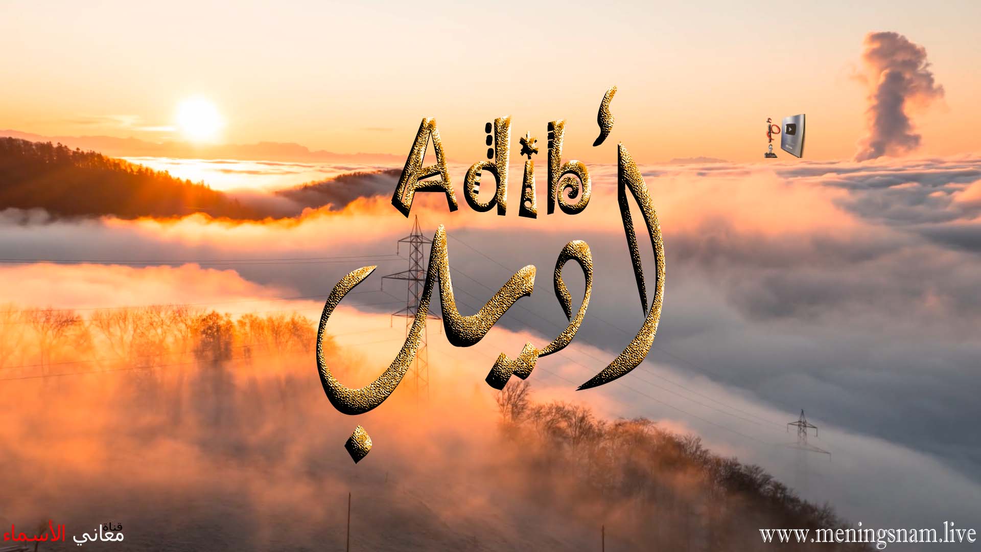 معنى اسم, اديب, وصفات, حامل, هذا الاسم, Adib,