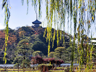 Three-storied pagoda of the former Tomyo-ji temple beyond the pond: Sankei-en (Yokohama)