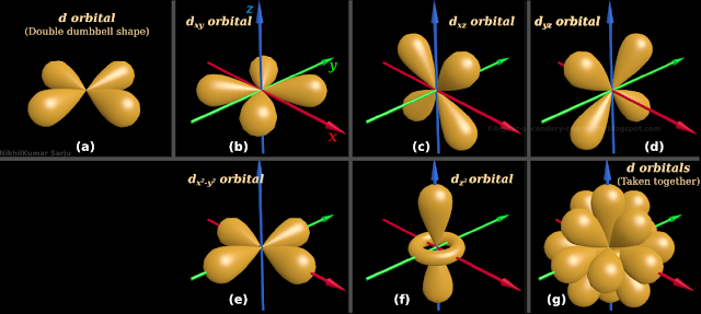 d orbitals have a double dumbbell shape