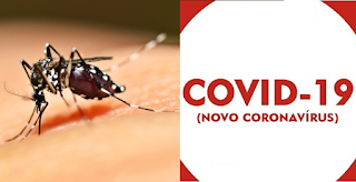 Quem teve dengue recentemente tem imunidade contra o Covid-19?