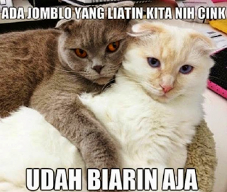 29 Meme Kata-Kata Lucu Andai Binantang Bisa Bicara Ini Kocak Banget