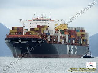 MSC Domitille