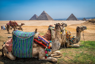  Things To Do In Cairo 