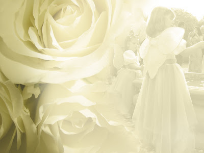 free download wedding flower backgrounds and wallpapers