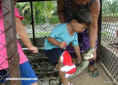 xcserpiente (2)