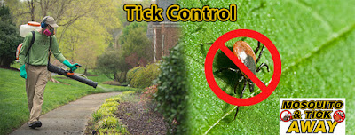 North Attleboro MA Tick Control