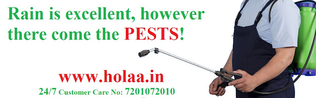 Pest Control Service in Surat