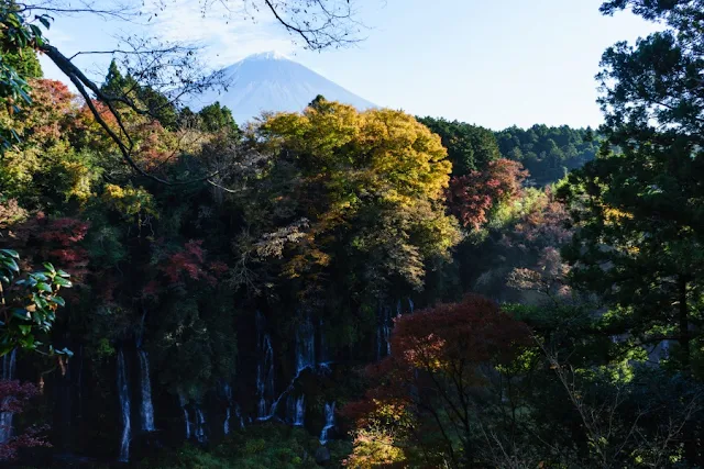 紅葉と富士山～白糸の滝（静岡）