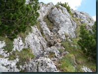 DSCN5102