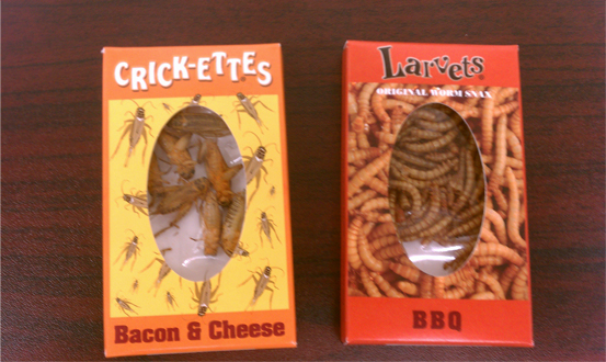 Bacon And Cheese Crickets4