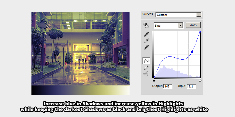 Colour Curves Adjustment Example