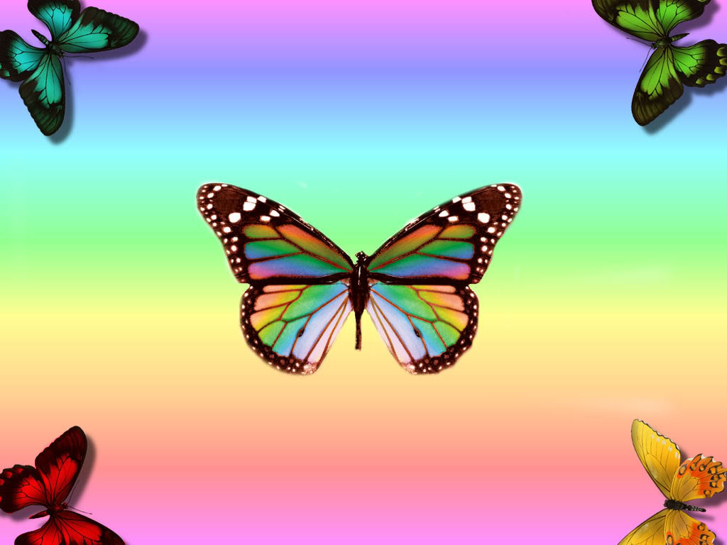 Butterfly Wallpaper