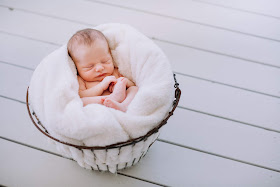 fremont newborn photographer