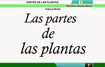 http://cplosangeles.juntaextremadura.net/web/edilim/curso_2/cmedio/plantas02/partes_planta02/partes_planta02.html