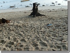 clip_image004
