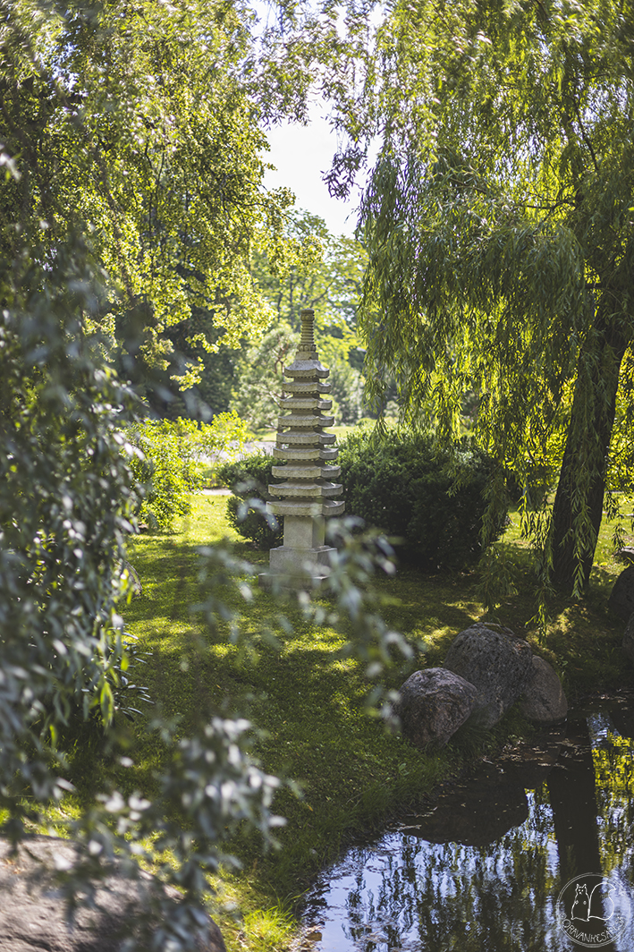 Kivilyhty Tallinnan Jaapani Aed -japanilaisessa puutarhassa.