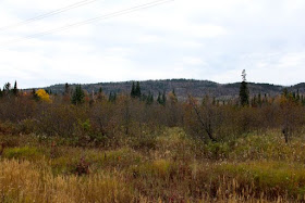 northern Minnesota's future: mountains or mine tailings?