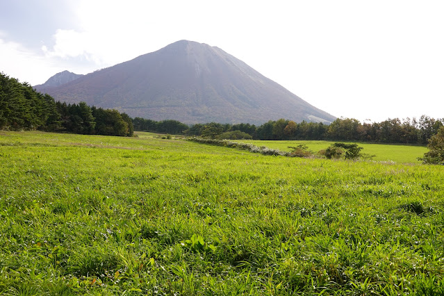 鳥取県西伯郡伯耆町丸山　牧草地からの大山の眺望