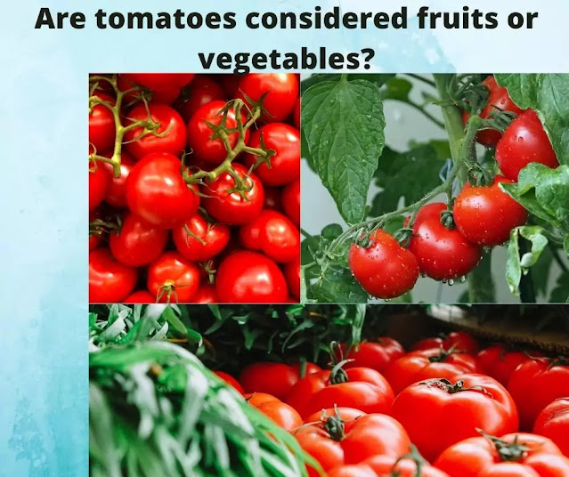 Are tomatoes considered fruits or vegetables?