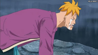 ワンピースアニメ 頂上戦争編 485話 不死鳥マルコ Marco the Phoenix | ONE PIECE Episode 485