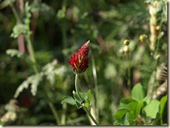 P8028937