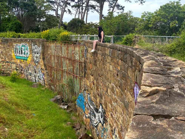 Blogger sits overlooking lion enclosure at Cape Town’s abandoned Zoo