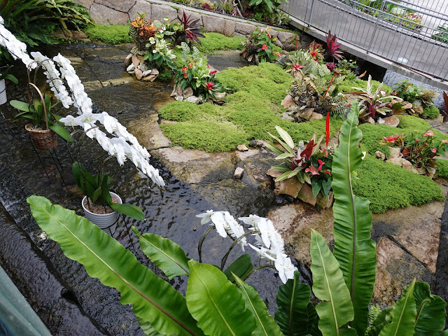 鳥取県西伯郡南部町鶴田　とっとり花回廊