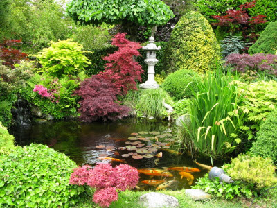 Site Blogspot  Garden Path Designs on My Crafty Home Life  A Japanese Garden