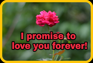 promise Day message and image 2019 for girlfriend,boyfriend,husband,wife,friend