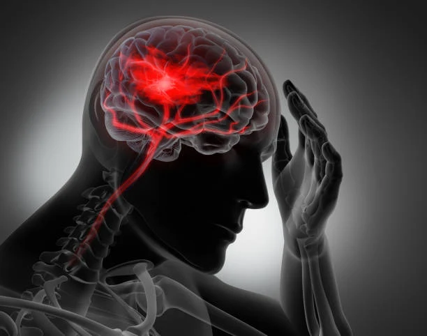 The blood vessels in the brain expand and become wider, due to which the blood circulation in the brain increases, thus the mental fatigue is removed to a great extent and the person starts to feel refreshed.