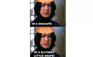 Marauders Memes Harry Potter