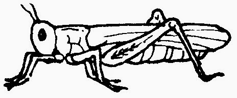 dunia sekolah: gambar hitam putih (drawing) - binatang