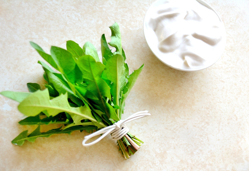 Dandelion Smoothie 2