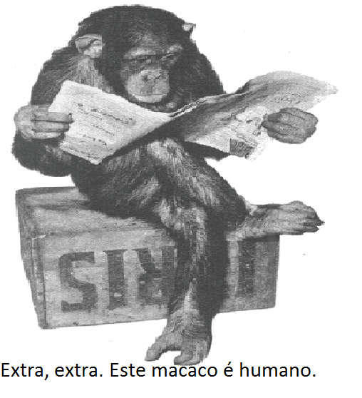 extra, macaco, humano 