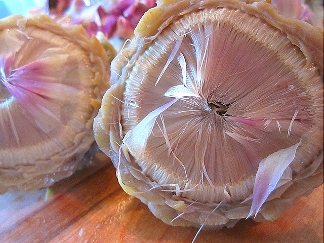 artichoke hearts picture. artichoke hearts
